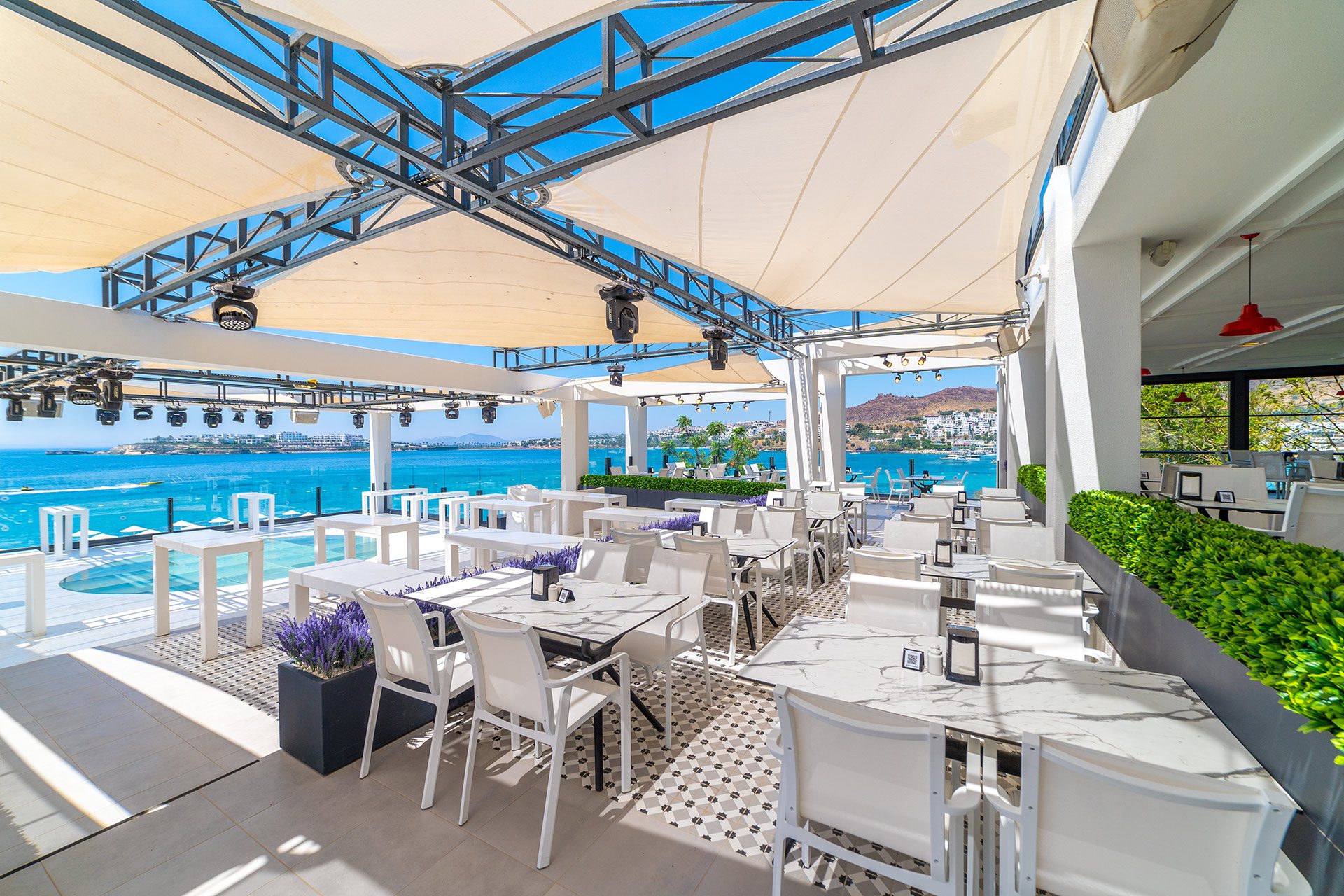 Moonlight Club