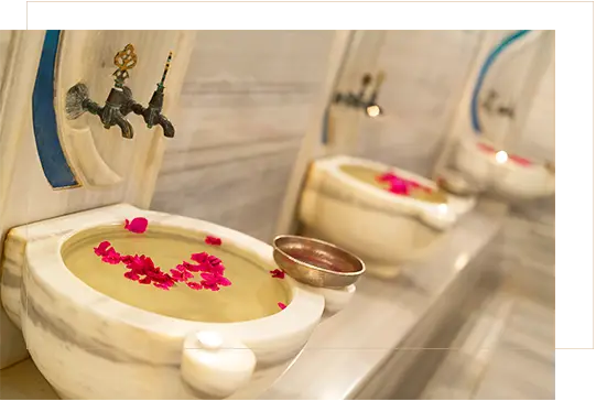 Spa & Wellness 7